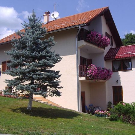 Guesthouse Hodak Seliste Dreznicko Exterior photo