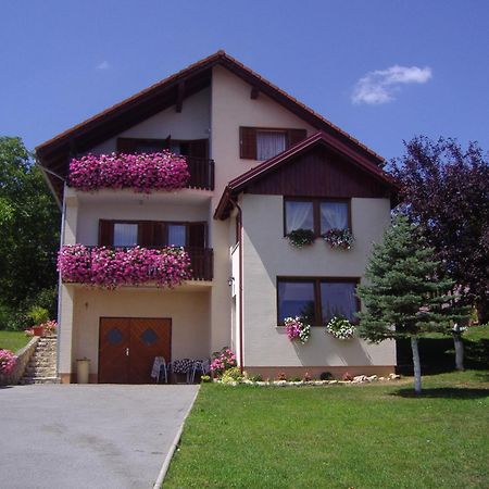 Guesthouse Hodak Seliste Dreznicko Exterior photo