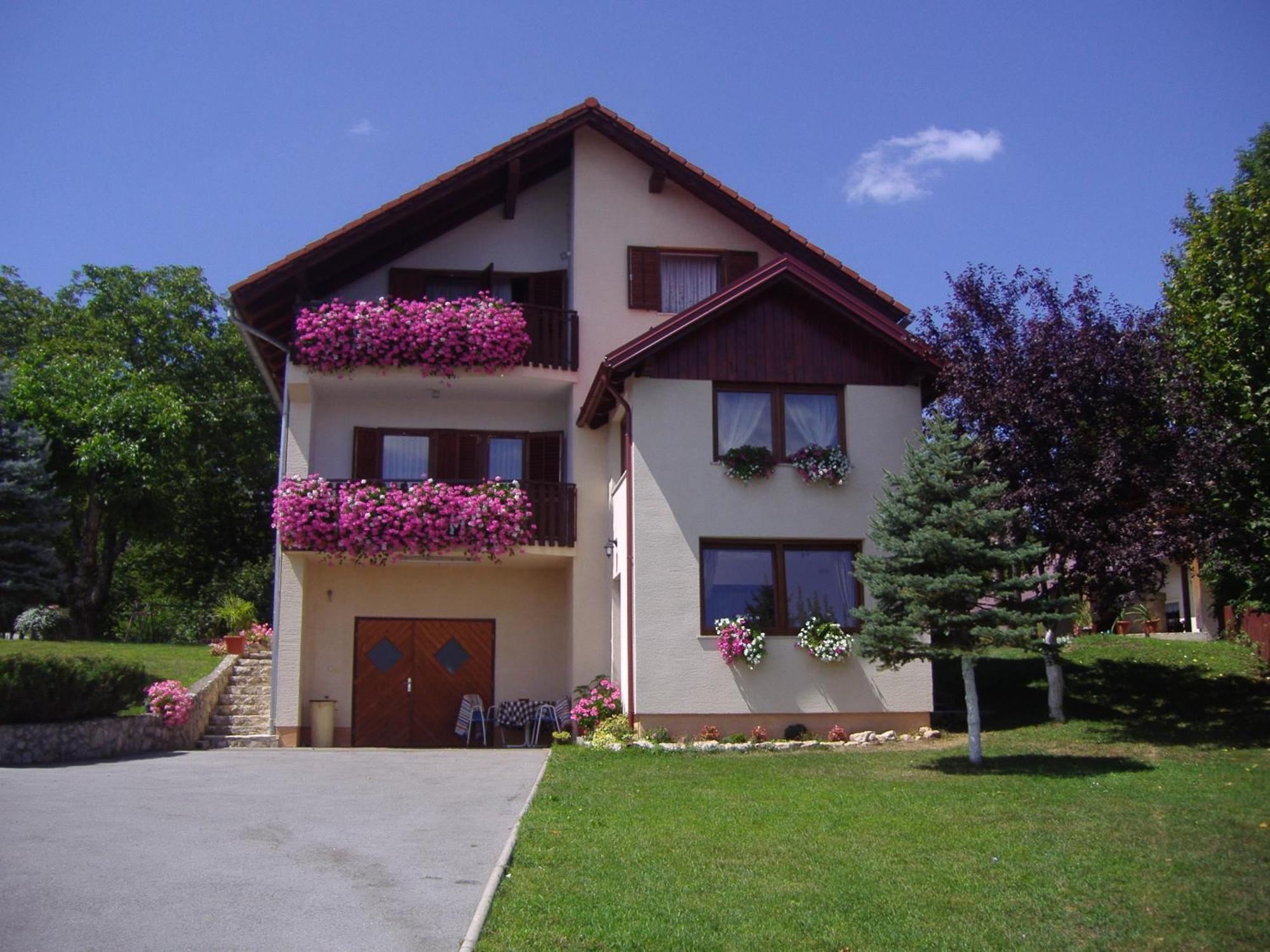 Guesthouse Hodak Seliste Dreznicko Exterior photo